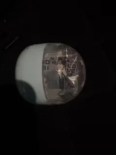 金城碧海 jo1 見てコレ