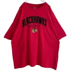 海外古着 NHL ブラックホークス ロゴ 刺繍 半袖 Tシャツ 赤