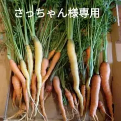 さっちゃん様専用☆間引き人参☆ネコポスセット