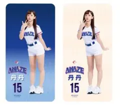 2026　WBC　15　丹丹　だんだん　応援　はっぴ　ブルー 2026年最新】#15丹丹、の人気アイテム - メルカリ