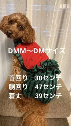 だるま様 リクエスト 2点 まとめ商品