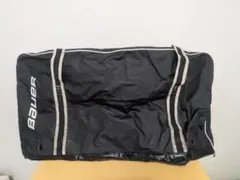 アイスホッケー