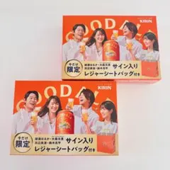 【 即日発送 】 KIRIN グッドエール サイン入りレジャーシートバッグ 夏