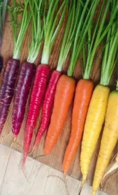 ちょん様 リクエスト 3点 まとめ商品