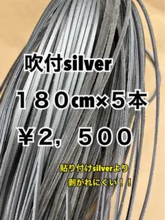 グラブレース　吹付silver 180cm×５本