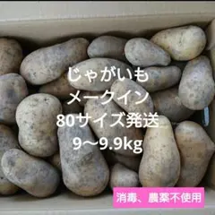 じゃがいも メークイン 80サイズ箱いっぱいのサムネイル