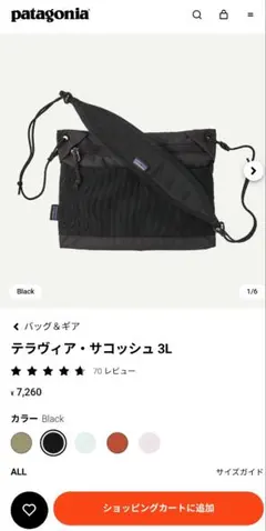 新品未使用　パタゴニア テラヴィア サコッシュ テラヴィア・サコッシュ 3Lのサムネイル
