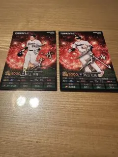 プロ野球チップス プロスピA ヤクルト 村上宗隆 内山壮真 ノーマル QR未使用