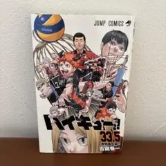 ハイキュー 33.5音駒番外編！！