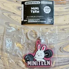 miniteen めじるしアクセサリー エスクプス ジョンハン 2個セット