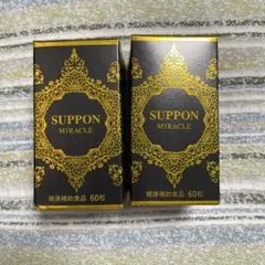 Item thumbnail for item aa8215f9-d8a2-4274-826b-bfa696780286