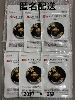 6袋セット（2袋からバラ売り可）】ターミナリアファーストP5 120錠30日 