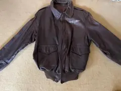 Item thumbnail for item b34da305-b4e7-4d4a-8142-397d47077e7e