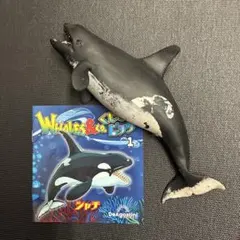 シャチ　ブックレット くじら　&co デアゴスティーニ　アンドコのサムネイル