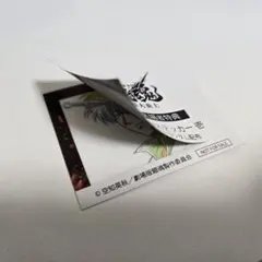 銀魂 吉原大炎上 映画 特典 銀時