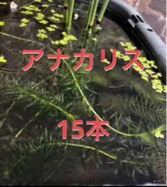 カー用品　まさshop様 リクエスト 2点 まとめ商品