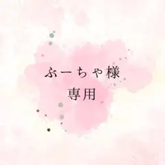 ぶーちゃ 様専用