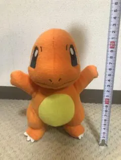 12月発送☆ポケモン☆ヒトカゲ ぬいぐるみ☆