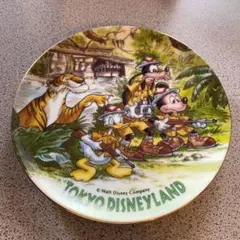 TDL ディズニー 飾り皿 絵皿 ミッキー 美品