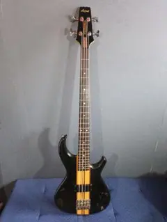 2025年最新】ARIA SB-100の人気アイテム - メルカリ