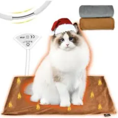 Item thumbnail for item 05079673-2d5d-40ad-a8b2-613939de0b14