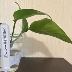 れん様 リクエスト 4点 まとめ商品