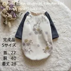 犬服 ラグラン(S) ꒡̈⃝Lily꒡̈⃝ハンドメイド - メルカリ