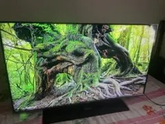 取置中 パナソニック 58V型 4K液晶テレビ ビエラ TH-58JX750 - メルカリ