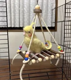 Item thumbnail for item 6d5ebbed-6093-4e39-b0de-78ab9002bd86