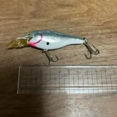 Item thumbnail for item 6a7102a5-714f-427b-9ae2-9c84eb29c47b