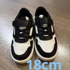 Item thumbnail for item d0695131-b028-4561-9aa4-e38de0baff74