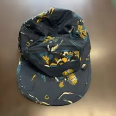 THE NORTH FACE ノースフェイス　キャップ