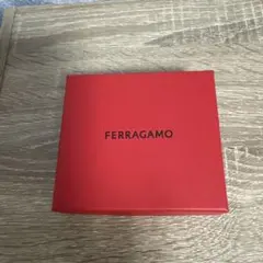 フェラガモ ピアスのサムネイル