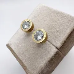 MICHAEL KORS マイケルコース　ピアス　クリスタル　サークル　ゴールドのサムネイル