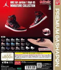 NIKE Air Jordan 1 High 85　新品・未使用　12点セット