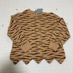 Item thumbnail for item 1988af15-a87b-4729-b98c-10e24d07707c