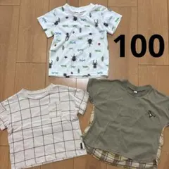 カブトムシ　恐竜　半袖　Tシャツ　3枚セット　男の子