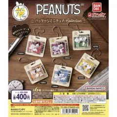 PEANUTS パッケージミニチュアコレクション