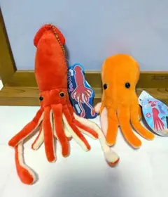 くったりダイオウイカ4　まだこスイムアミューズメント専用景品