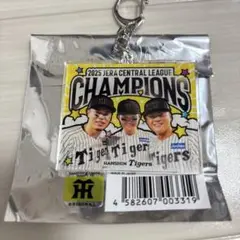 阪神タイガース シークレットアクリルキーホルダー 佐藤輝明 森下翔太 前川右京