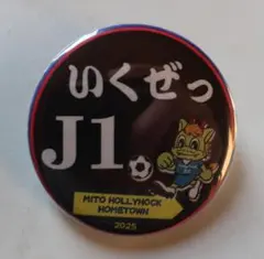 水戸ホーリーホック 応援グッズ