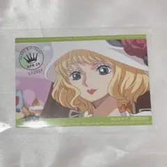 【即購入◎】ステューシー