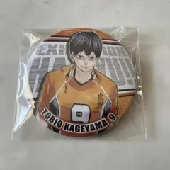 ハイキュー コレクション缶バッジ 影山飛雄 ファンパーク - メルカリ