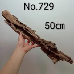 アク抜き済み流木【322】セール アク抜き済み流木 No.322 スドー 流木のアク抜きパウダー | 水中