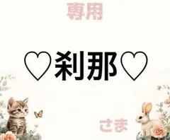 専用