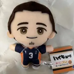 2025年最新】東峰旭 ぬいぐるみの人気アイテム - メルカリ