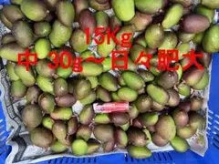 沖縄県産摘果マンゴー22kg(30〜70g) - メルカリ