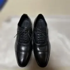 Item thumbnail for item 254b9b6e-6a62-4ee1-bd6c-2ff31ef47fa8