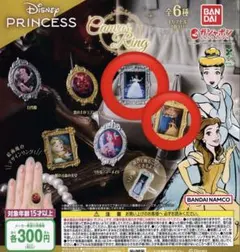 みぃ様専用Disney Princess キャンバスリング 2点セット