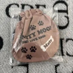 登坂広臣　INFNITY MOON ツアー　プレミアムカプセル　巾着MATE